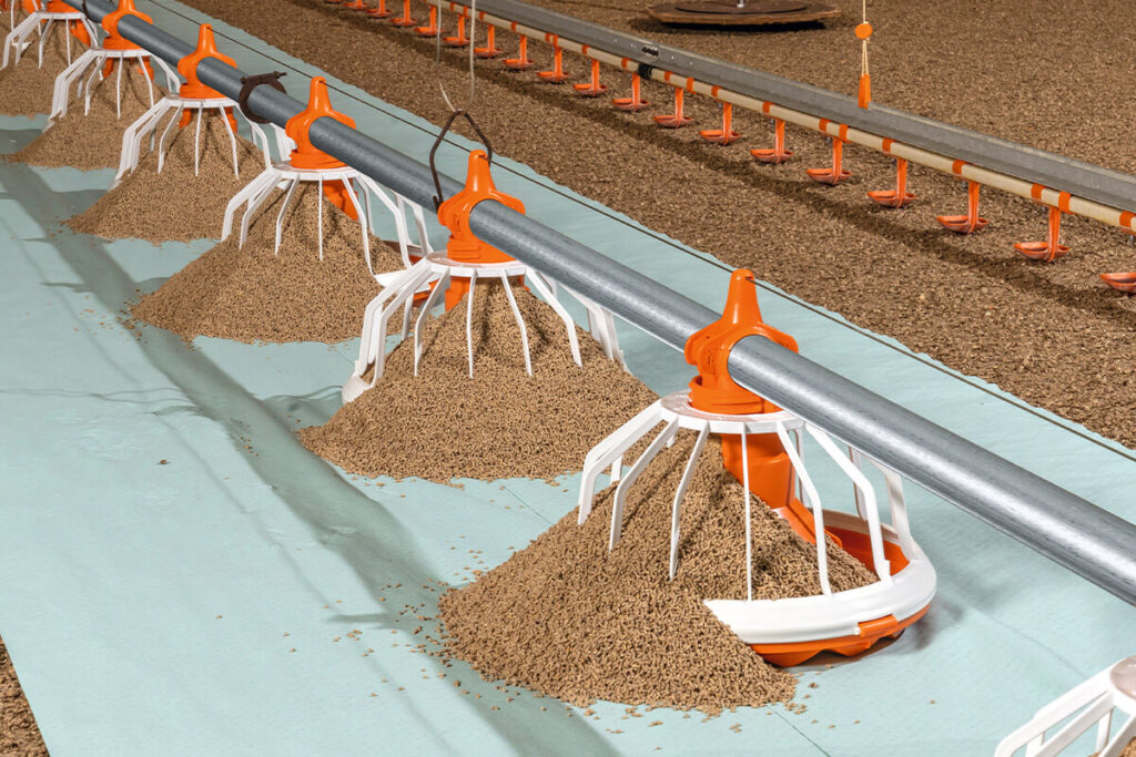 Gefluegelmast-Poultry-growing-FLUXX-330-360-2-Big-Dutchman