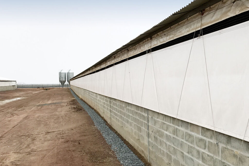 Gefluegelhaltung-Schweinehaltung-Poultry-production-Pig-production-Breezy-1-Big-Dutchman