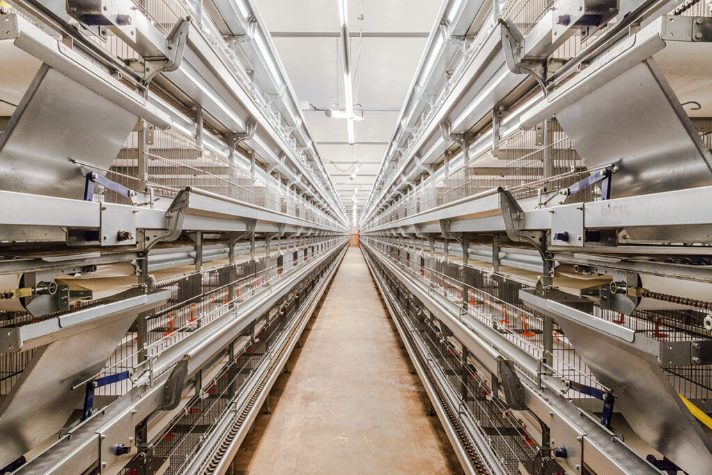 Kaefighaltung-poultry-cages-UNIVENT-Starter-Big-Dutchman