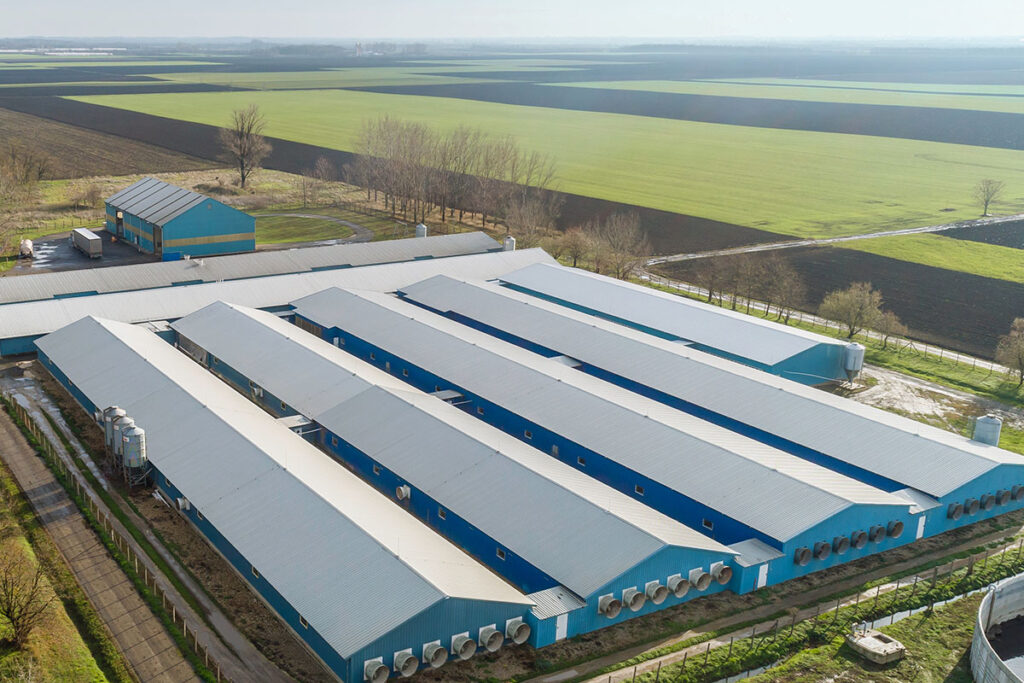 Stallklima-Pig-climate-control-CombiTunnel-Ventilation-1-Big-Dutchman