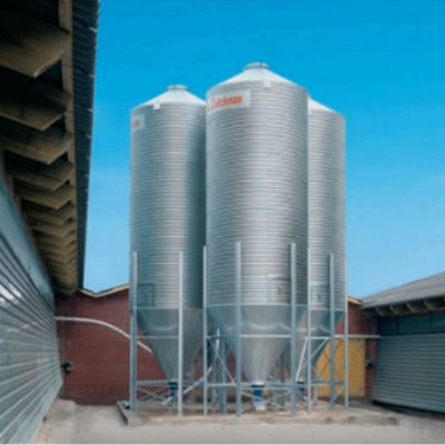 Untitled-design-2024-11-18T162522.419