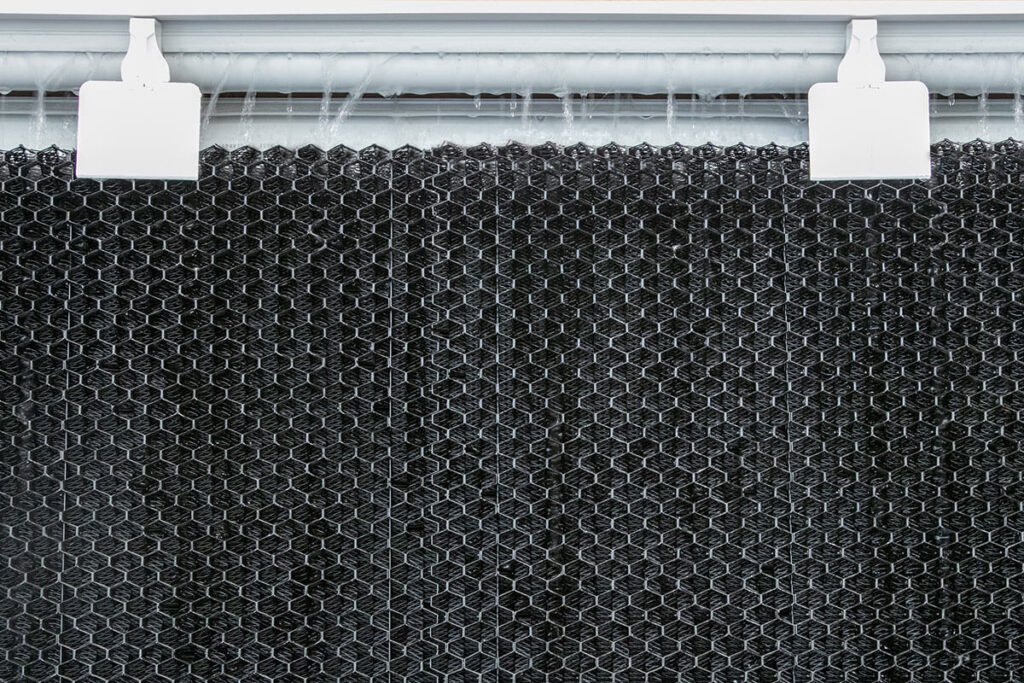 Stallklima-Poultry-climate-control-RainMaker-Big-Dutchman