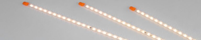 csm_Schweinehaltung-Pig-production-FlexLED-HO-4-Big-Dutchman_6d5dfc2152