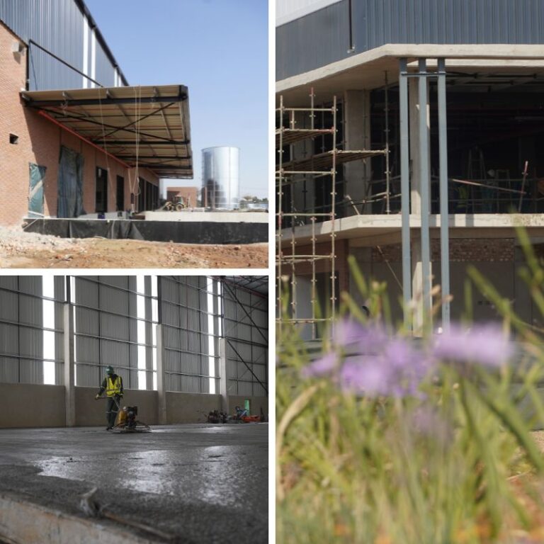 Untitled-design-2024-10-02T172854