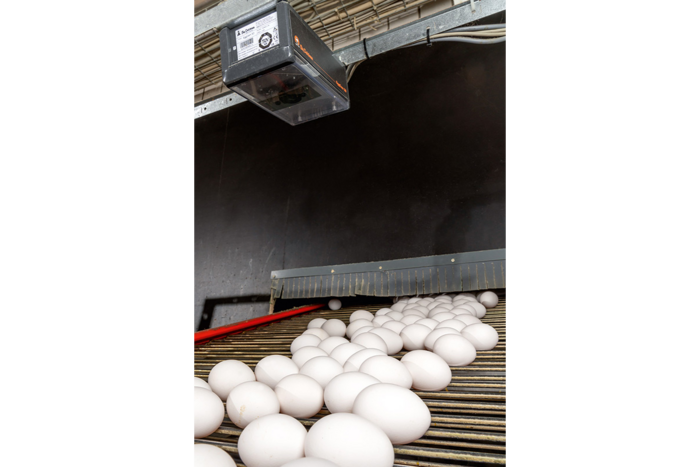 csm_Legehennenhaltung-Egg-production-EggCam-Big-Dutchman_88204cec76