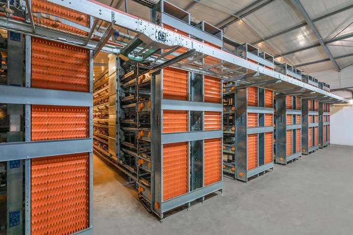 csm_Legehennenhaltung-Egg-production-EggCellent-Big-Dutchman_08928ab646