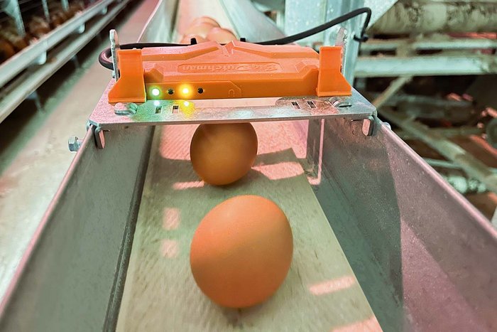 csm_Legehennenhaltung-Egg-production-EggScan-120-2-Big-Dutchman_d098f3a432