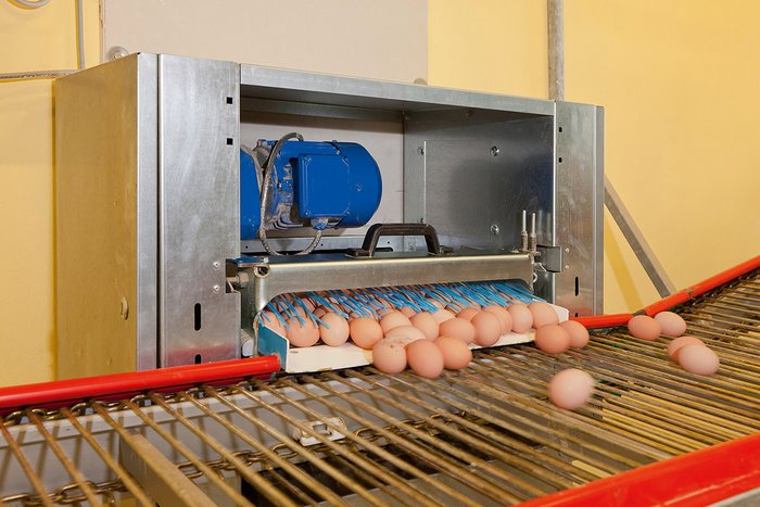 csm_Legehennenhaltung-Egg-production-EggTrax-Big-Dutchman_0668f25d74