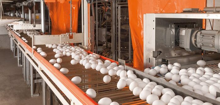 csm_Legehennenhaltung-Egg-production-Lift-5-Big-Dutchman_f72118b128