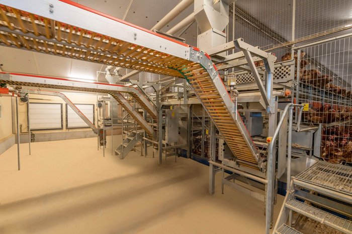 csm_Legehennenhaltung-Egg-production-Steilfoerderer-2-Big-Dutchman_71828e4e77