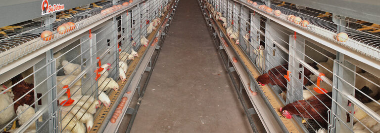 0-EUROVENT-Parents-1553x545