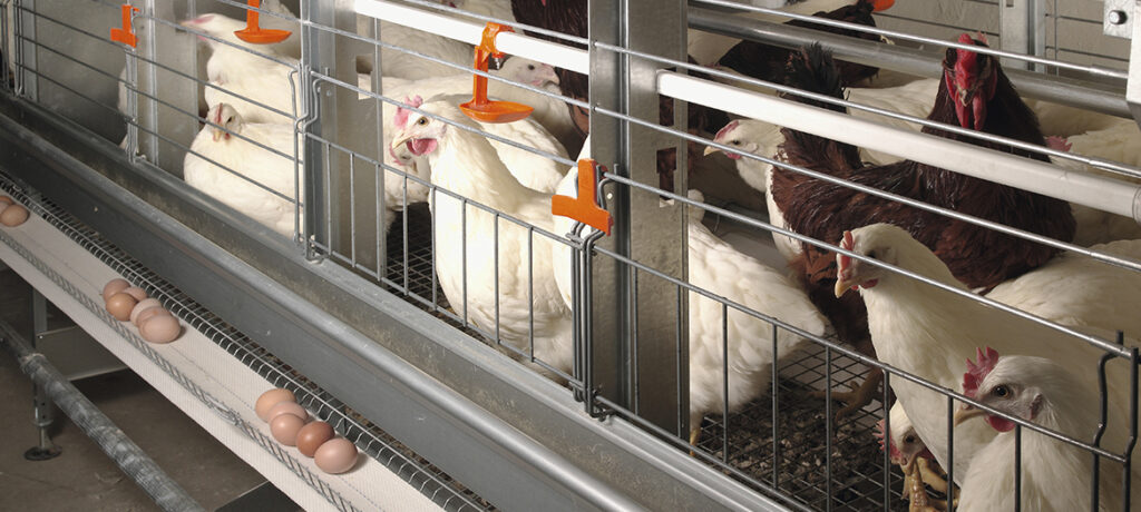 1-EUROVENT-Parents-1170x526