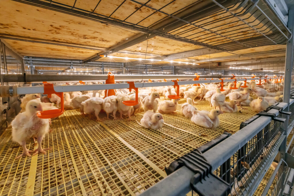 AviMax transit-20 (1)