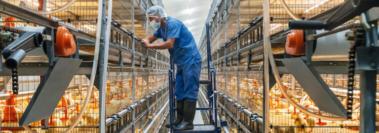 Avimax-Transit_1553x545