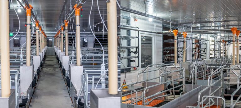 BD-Swing-17A-1170x526