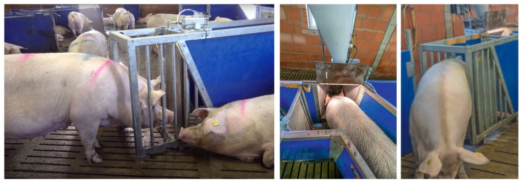 CallMatic3pro-1170x526-2