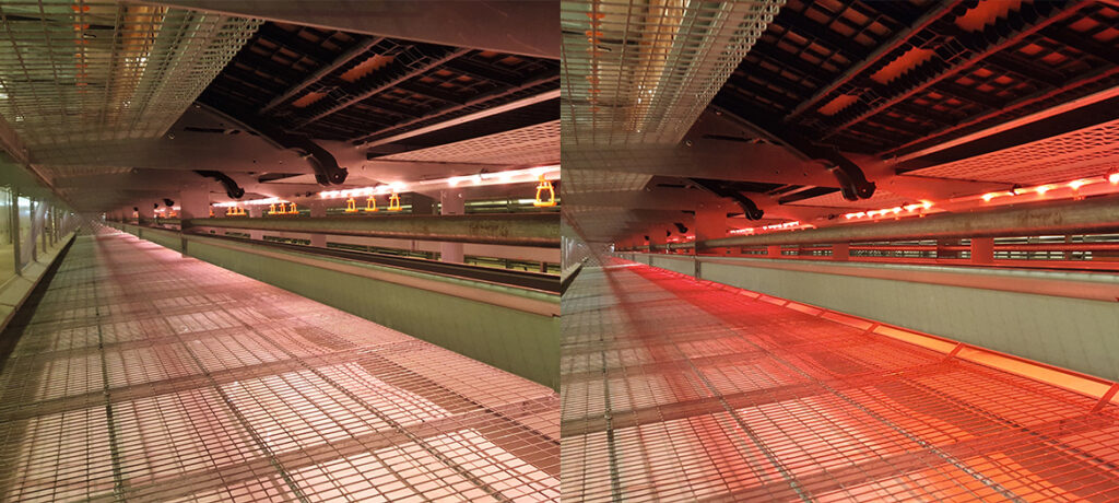 FlexLED2-channel-1170x526