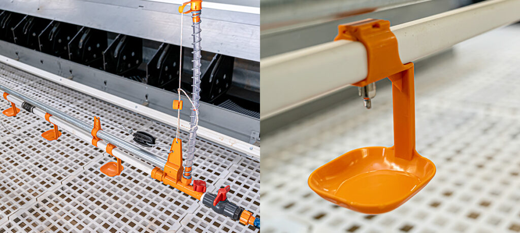 Nipple-drinkers_1170x526 (1)