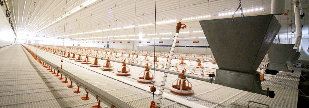 Plastic-Slats-for-Manure-Scraper-1553x545