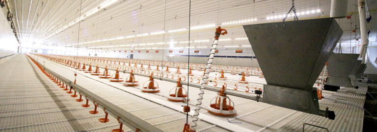 Plastic-Slats-for-Manure-Scraper-1553x545