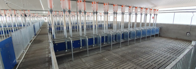 Quarter-Stall_-1553x545