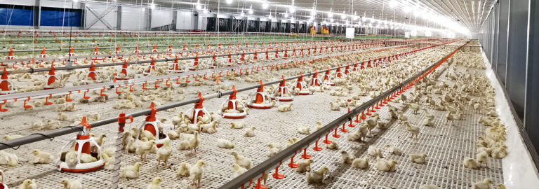 Raised-Florring-Plastic-Slats-1553x545