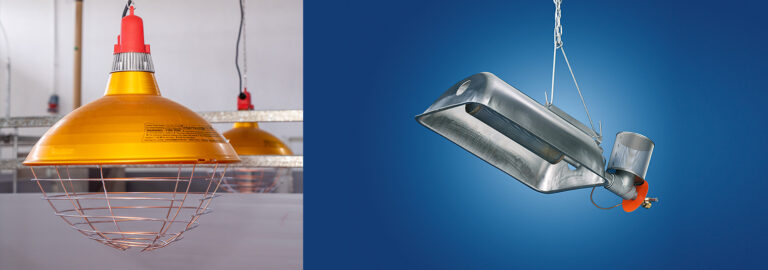 Spot-Brooders-1553x545