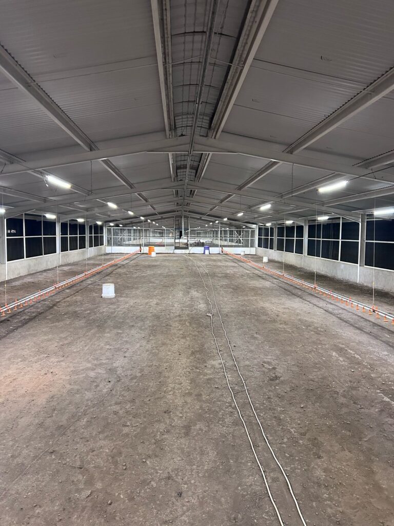 WhatsApp Image 2025-08-19 at 09.50