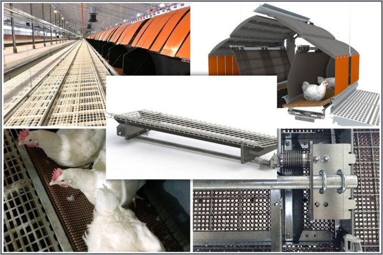 csm_Broiler-Elterntierhaltung-Nesca-Collage-weiss-Big-Dutchman_72_2_e0d4eb272e