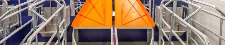 csm_Sauenhaltung-sow-management-Abferkelbereich-Big-Dutchman_47745cc4e9