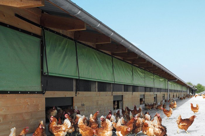 csm_Stallklima-Poultry-climate-control-Rollgardine-3-Big-Dutchman_8d6e798e12