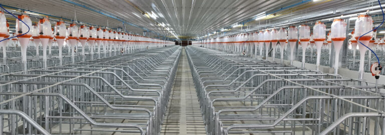 product_banner_1553x545_2